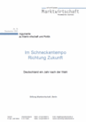 Im Schneckentempo Richtung Zukunft - Deutschland ein Jahr nach der Wahl